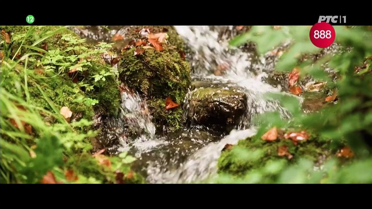 Izvor (2026) - Epizoda 7 - Domaća serija