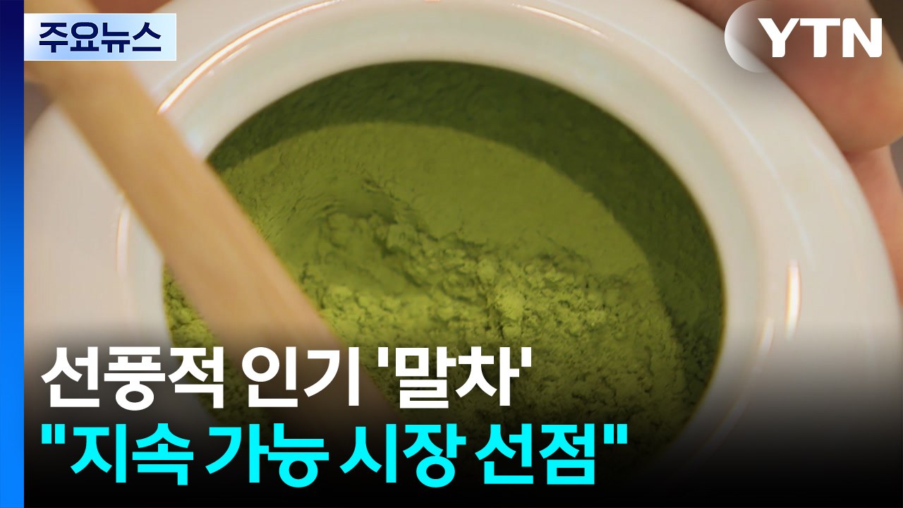 선풍적 인기 '가루 녹차'..."고품질 원료로 지속 가능 시장 선점" / YTN