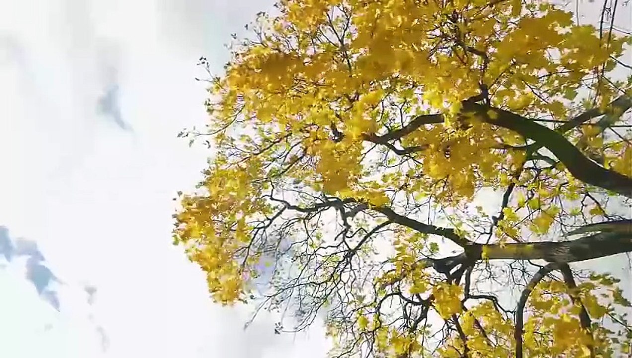 Snow.Falling.On.Pumpkins [Full Movie] [Free Online HD]Full EP - Full
