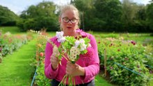 Gardeners' World Season 59 Episode 4