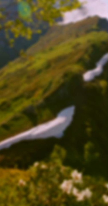 Tu n’as pas besoin de courir pour avancer. Certains des plus beaux chemins se traversent dans le calme. 🤍