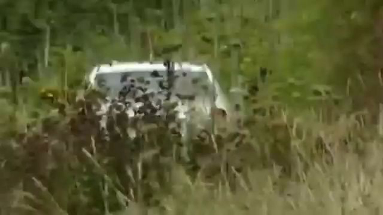 Skoda Octavia WRC in azione