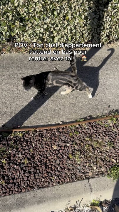 J’habite chez lui enfaite