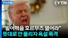 사실상 최후통첩..."빌어먹을" 욕설 쏟아낸 트럼프의 초조함 [Y녹취록] / YTN