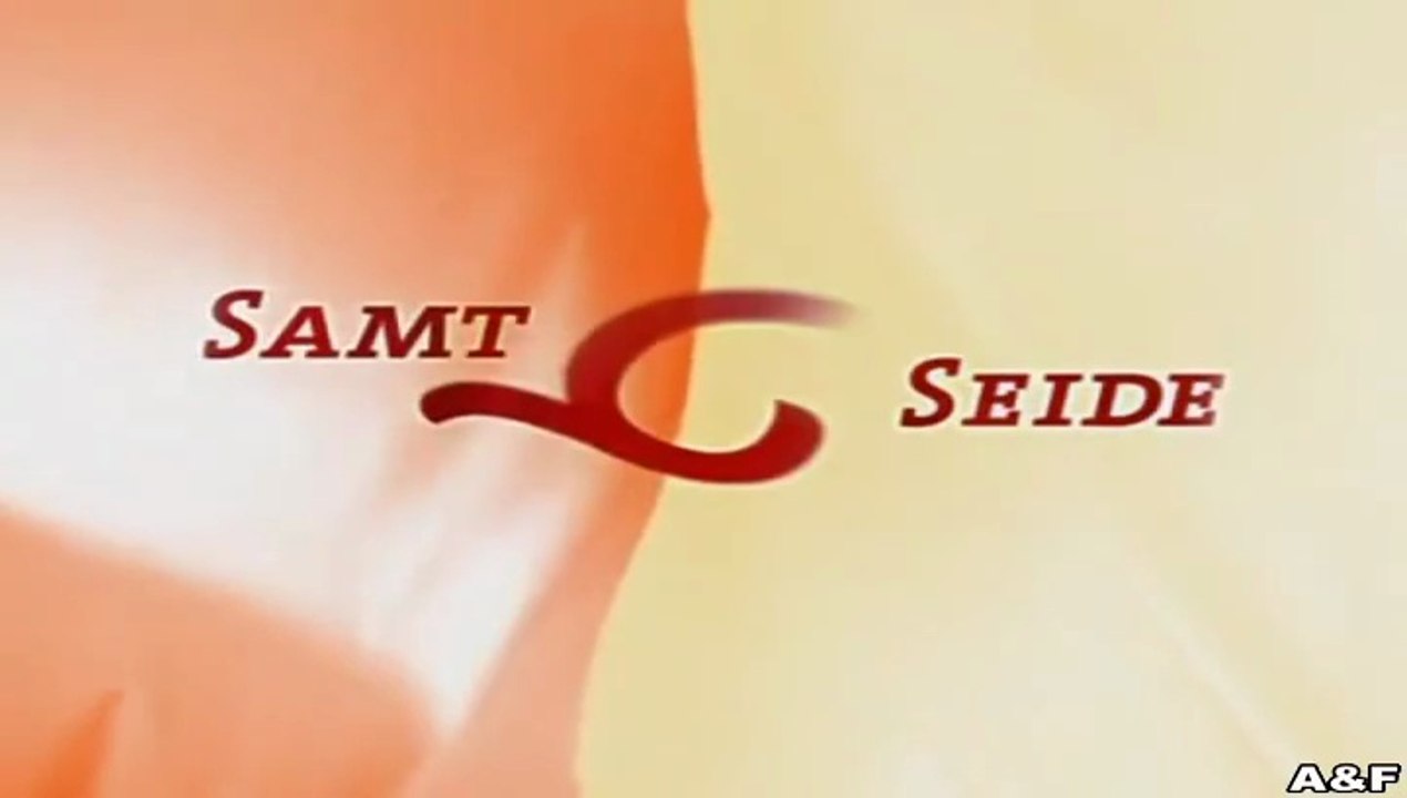 Samt.und.Seide -089- Bestandsaufnahme