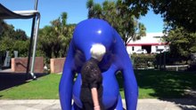 ‘Blue Blob’ sculpture in Mount Gambier dividing public opinion