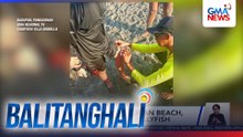 58 naligo sa Tondaligan Beach, na-sting ng dikya o jellyfish | Balitanghali