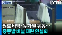 원료 바닥·농가 '발 동동'...중동발 비닐 대란 현실화 / YTN