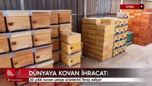 Aydın'dan dünyaya kovan ihracatı