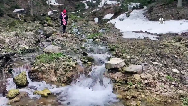 Kış ve ilkbahar bir arada! Düzce’de yaylalar renkli görüntüler