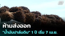 ห้ามส่งออก "น้ำมันปาล์มดิบ" 1 ปี เริ่ม 7 เม.ย.| เที่ยงทันข่าว |6 เม.ย. 69