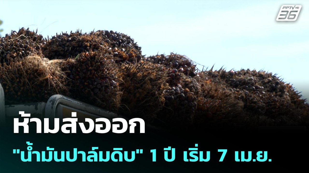 ห้ามส่งออก "น้ำมันปาล์มดิบ" 1 ปี เริ่ม 7 เม.ย.| เที่ยงทันข่าว |6 เม.ย. 69