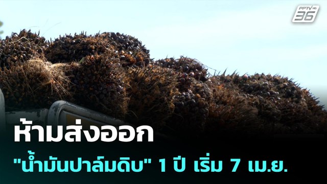 ห้ามส่งออก น้ำมันปาล์มดิบ 1 ปี เริ่ม 7 เม.ย.| เที่ยงทันข่าว |6 เม.ย. 69