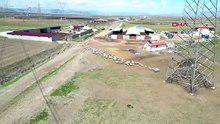 NatGeo Wild değil, Türkiye! Büyüleyen kavuşma bir kez daha gerçekleşti...