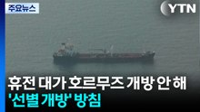 이란 "휴전 대가로 호르무즈 개방 안 해"...'선별 개방' 방침 / YTN