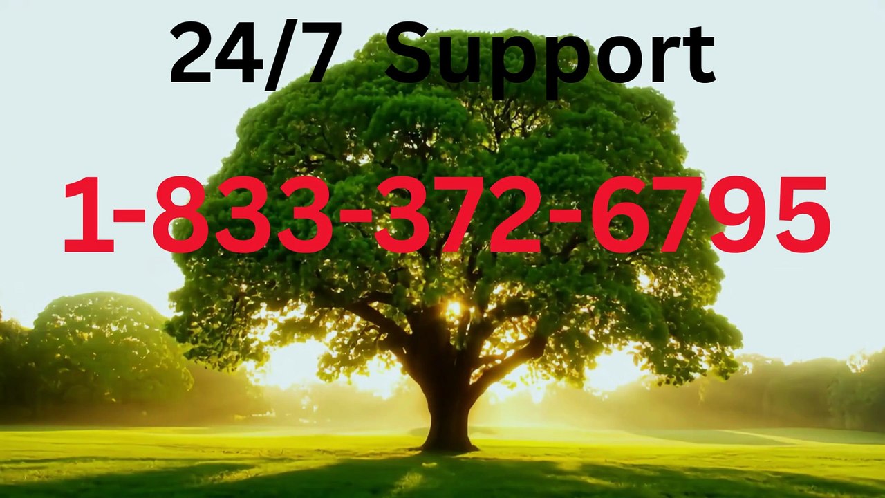 20~ [ [Full List]] Coinbase Customer Service®️ Toll Free™️ Contact Number (24/7 support)