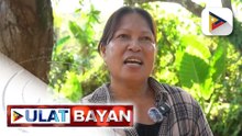 Mga magsasaka mula sa Calbayog City, kabilang sa mabebenipisyuhan ng Presidential Assistance for Farmers and Fisherfolks | ulat ni Charmaine Perito Balvez ng Radyo Pilipinas