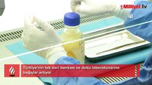 Ölenlerin sırt ve bacaklarından alınıyor! Türkiye'de bu merkezde saklanıyor... Detaylar ortaya çıktı