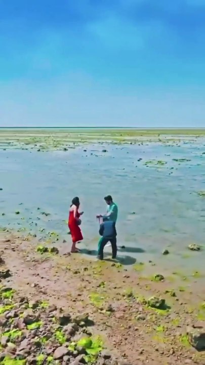 Exploring Narara Marine National Park | Rare Marine Life in Gujarat