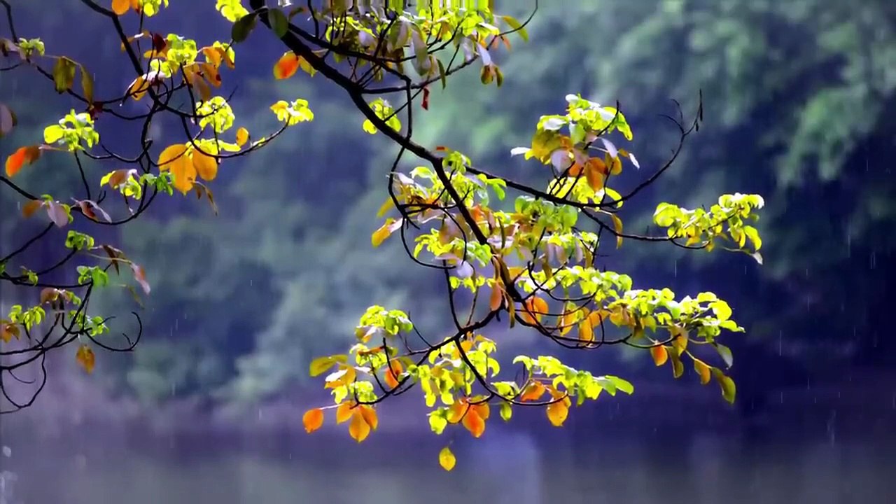 Nature _ Waterfalls _ Drone _ Free HD Videos - No Copyright footage - 2026