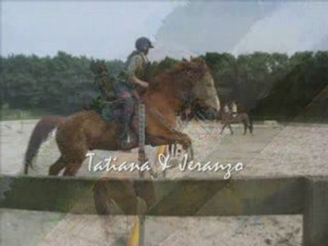 Saut d'obstacles (4 juin 2008)