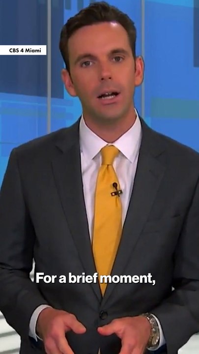 Forgotten Fugitives: 4.8 Million Gold Heist - New Clues