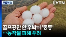 골프공만 한 우박이 '통통'...농작물 피해 우려 / YTN