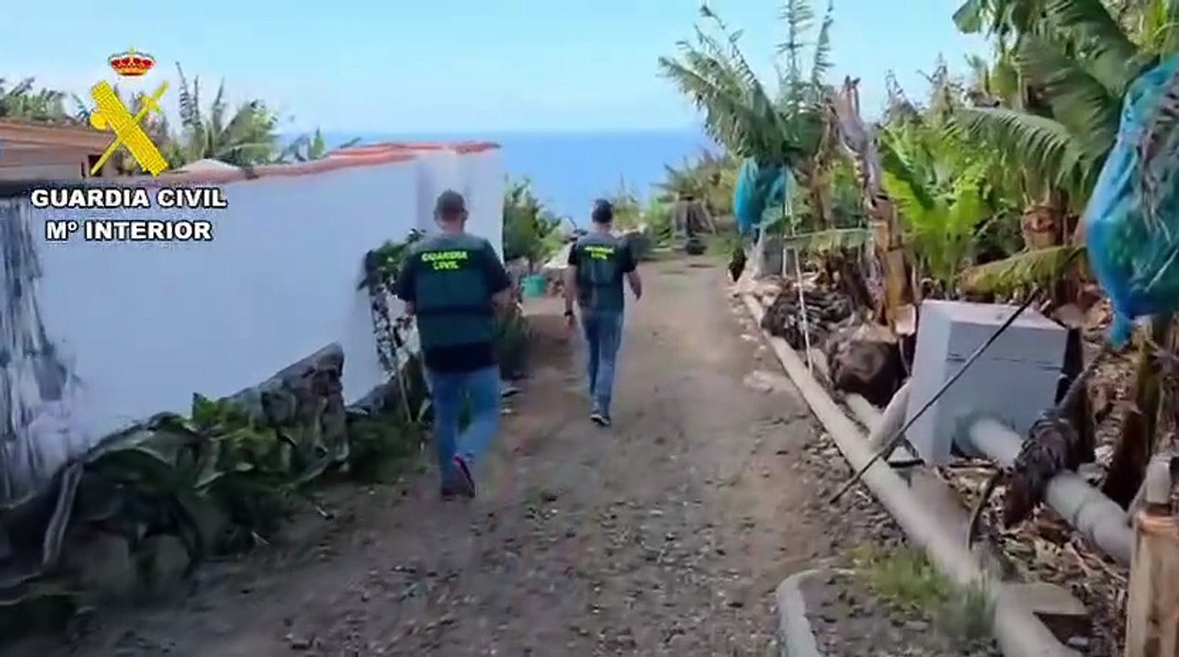 Robo platanera La Palma