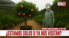 Experiencias con seres no humanos: casos escalofriantes