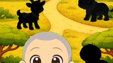 Let's see 👀Bear 🐻| Animals quiz 🧠 game 🎮 with keji 👀#kejishorts