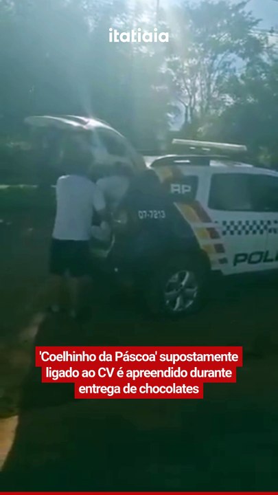 'Coelhinho da Páscoa' supostamente ligado ao CV é apreendido durante entrega de chocolates