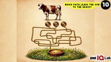 #GuessingDoesntWork ✋️😒 Which Path Leads the Cow to the Grass? 🌱🐄