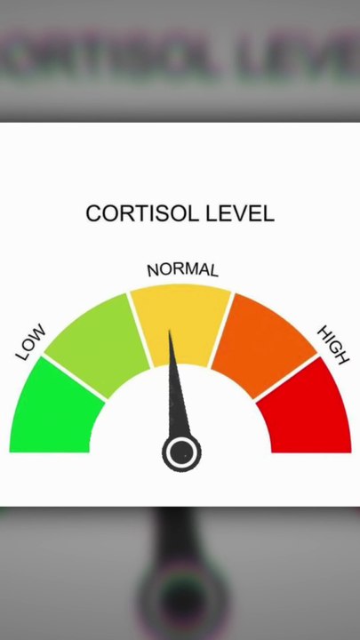 Réguler son Cortisol  |  C'est Quoi ce Mème?