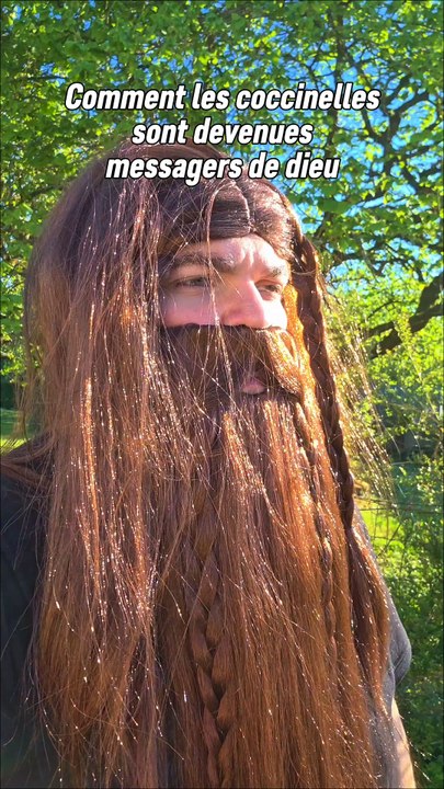 Le Roi vit cette coccinelle comme un messager de dieu et les coccinelles portent désormais le surnom de "bête de bon dieu". 😊