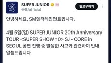 슈퍼주니어 공연 중 관객 부상...SM "무거운 책임 통감" / YTN