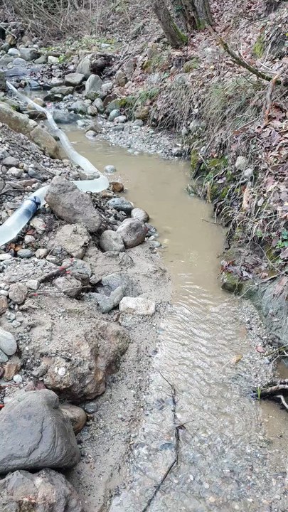 The River Gold Prospecting Process