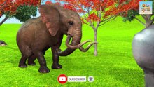 Long Slide Game With Elephant Gorilla Buffalo Hippopotamus Tiger  3d Animal Game  Funny 3d Animals 2