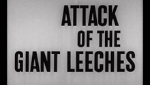 Attack of the Giant Leeches (1959) – Swamp Creature Feature