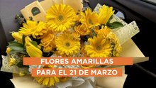 Estas son las flores amarillas más hermosas para el 21 de marzo