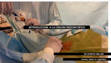 Técnica de Cirugía Endoscópica Percutanea