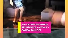 ¡Un oso gigante irrumpe en reunión de amigas!