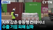 자취 감춘 중동행 컨테이너...수출 기업 피해 심화 / YTN