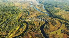 Aerial View Green Forest Woods And River Landscape In Sunny