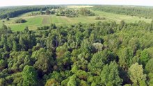 Aerial View of Farmland and Lush Forest