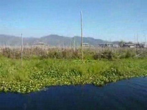 P1010422 Birmanie Myanmar,lac inlé