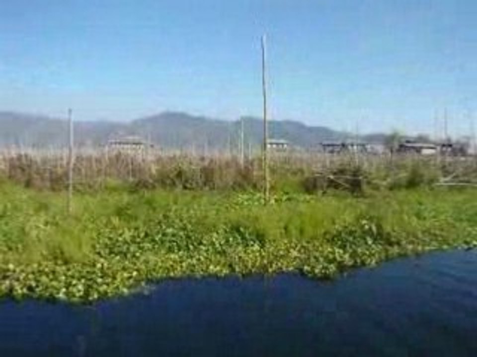 P1010422 Birmanie Myanmar,lac inlé