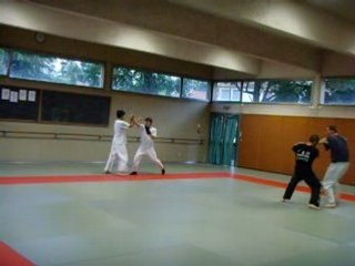 yoseikan budo lyon