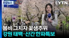[날씨] 비온 뒤 윤중로, 봄꽃축제 마지막날...기온변화 유의 / YTN