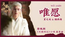 【Chi/Eng/Pinyin Lyrics】 夏之光 & 杨雨青 (Xia Zhiguang & Angel Yang) - 唯愿 (My Only Wish) | 《月鳞绮纪 Veil of Shadows》 OST