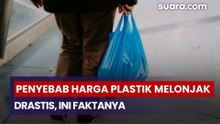 Penyebab Harga Plastik Melonjak Drastis, Ini Faktanya